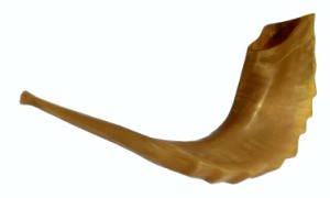 Shofar (ram's horn trumpet)